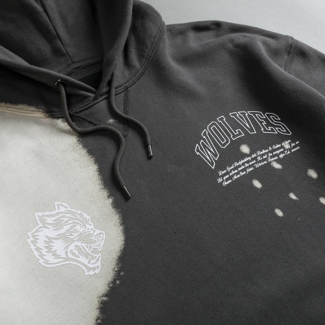 Protect Us "Wyoming" Hoodie in Wolf Gray Acid Wash